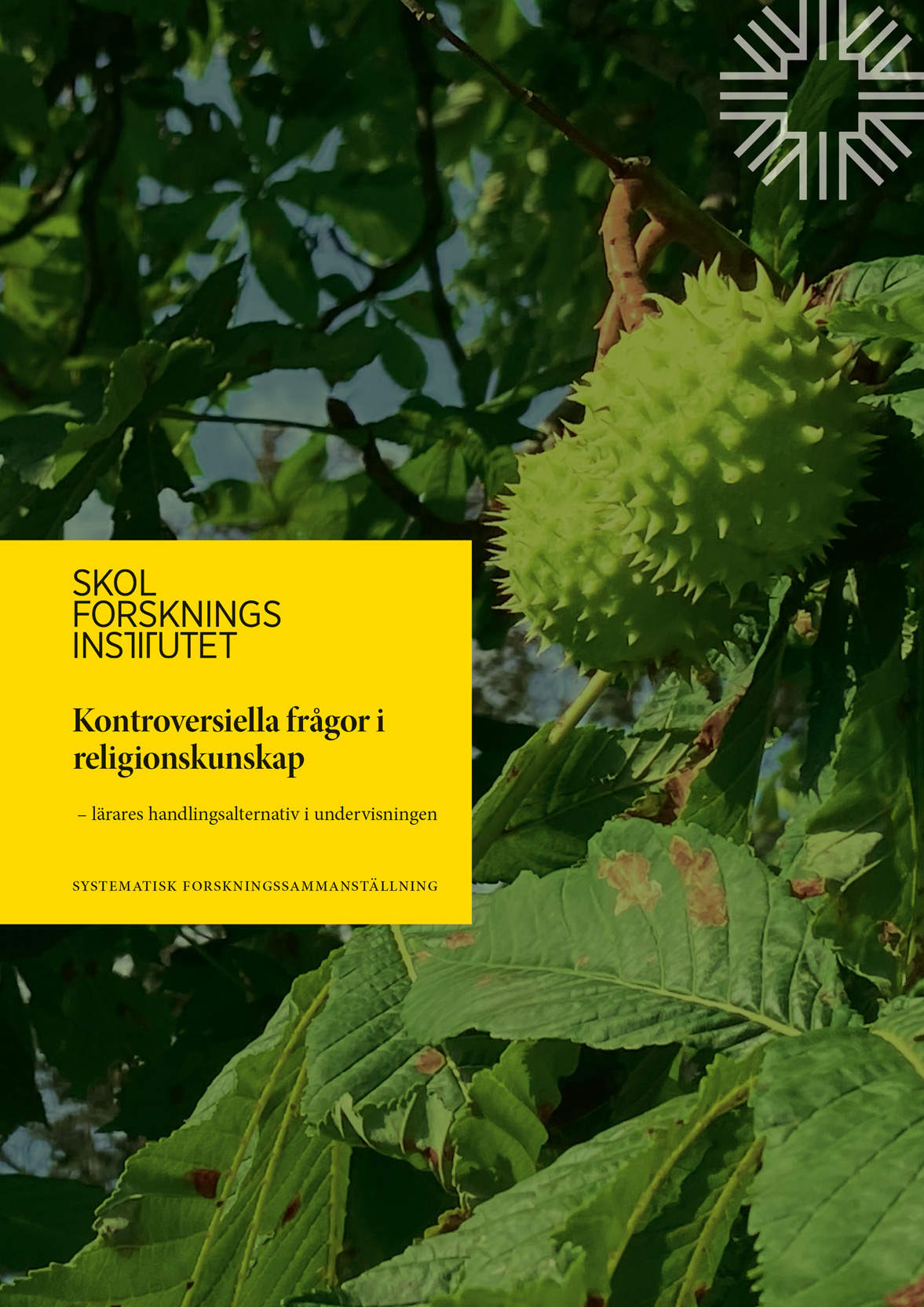 Omslag till Kontroversiella frågor i religionskunskap